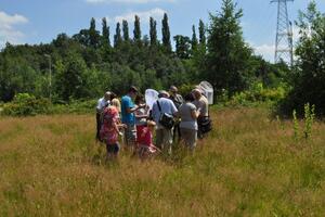 Vlinderwandeling van 22/7/2012